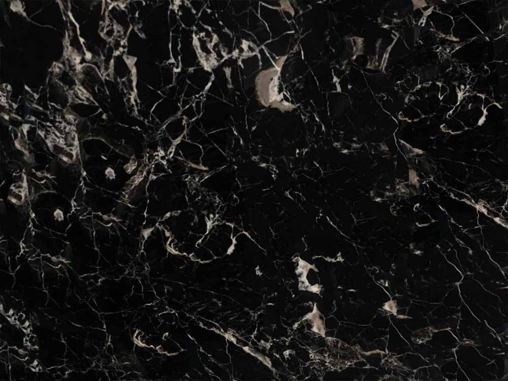 世紀(jì)黑冰花